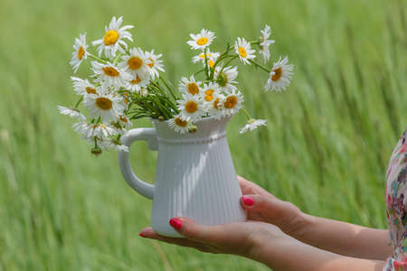 Woman hold vase with daisies. Summer park with grassの写真素材