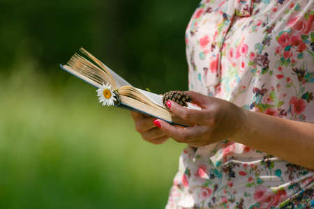 Adult woman reading the book on green meadowの写真素材