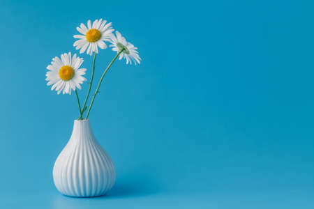 Beautiful bouquet of daisies in vase on light backgroundの写真素材