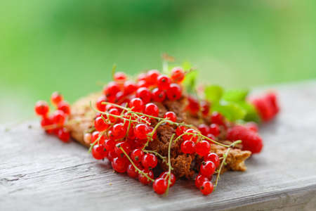 Ripe red currant on the wooden background