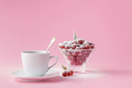 Wild cherry in a plate with a mug of coffee on a pink. Sugar powdered berryの写真素材