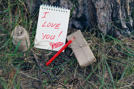 Love message on Pinecones and pine needle in the autumn forestの写真素材