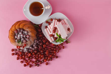 Celebratory chocolate cake with canned cherry, cup of teaの写真素材