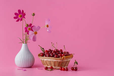 Cherries in the basket on a pink background with leaves and flowersの写真素材