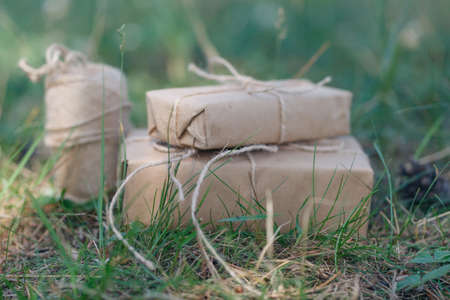 Craft gift box on the grass fieldの写真素材