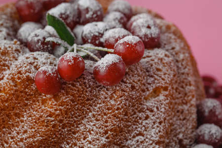 celebratory cake with cherries and sugar powder on pinkの写真素材
