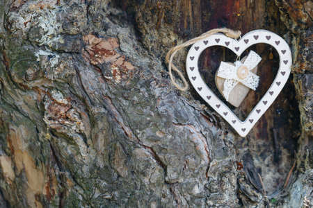 love heart tree trunk background textureの写真素材