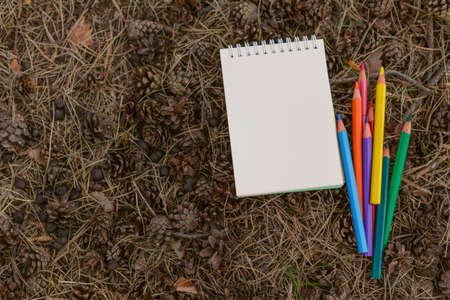 notebook and pencils on wood background