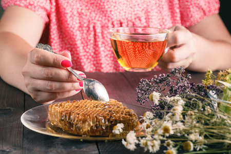 Cup of herbal tea with wild flowers and various herbsの写真素材