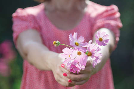 the flowers in the woman hand for everyoneの写真素材