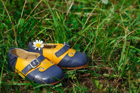 vintage Baby shoes on green grassの写真素材