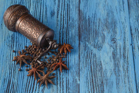 Spices mill with cinnamon and anise