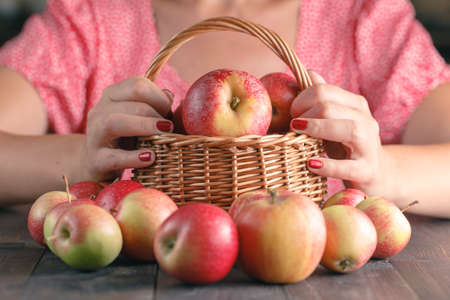 Unrecognizable young woman in red shirt harvesting applesの写真素材