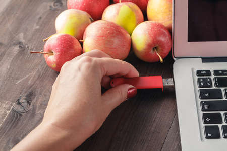 Close up of woman hand plugging red pendrive on  laptop with appleの写真素材