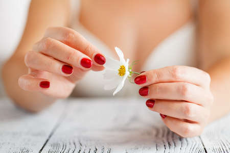 guesses on camomile for loveの写真素材