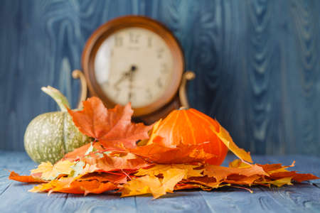 Pumpkin with Autumn Leaf on blue wooden backgroundの写真素材