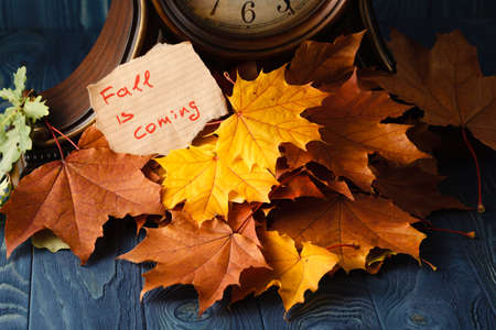 Happy Thanksgiving wooden letters with an autumn pumpkin and leaves corner border against old wood