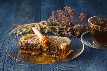 herb Hypericum oregano and honey on wooden backgroundの写真素材
