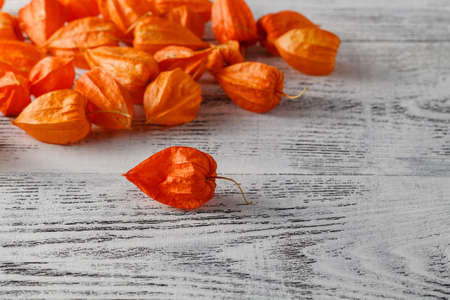 Autumn background with Delicate bright orange Physalis, also known as Chinese lantern and gooseberryの写真素材