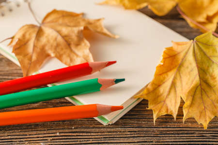 Writing-books, multi-coloured pencils in a cup and autumn leaves on a woden background. Concept for Back to school.の写真素材