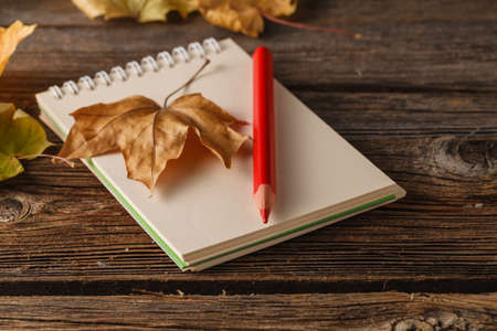Autumn artist workspace. Sketchbook and pencil.の写真素材
