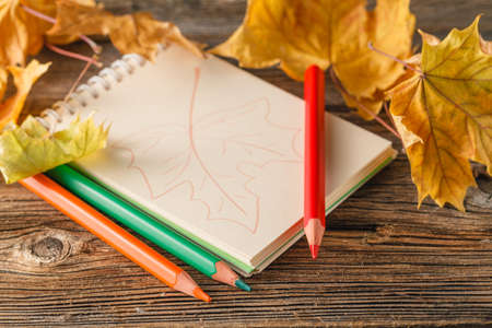 Writing-books, multi-coloured pencils in a cup and autumn leaves on a woden background. Concept for Back to school.の写真素材