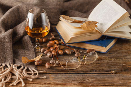 snifter of brandy and book, dried oak leavesの写真素材