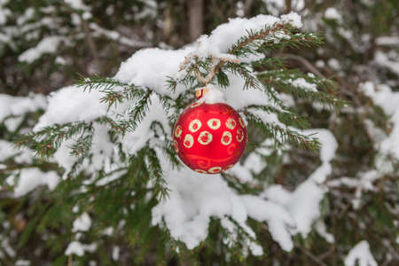 Merry Christmas and Happy New Year. Glass toy on the treeの写真素材