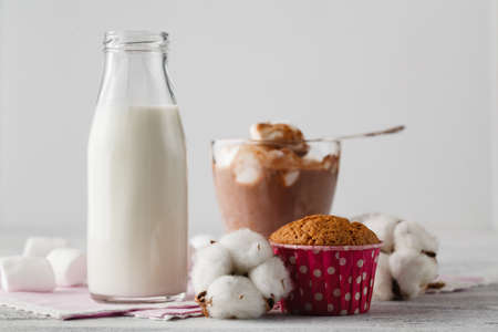 Dessert from cookies with marshmallowの写真素材