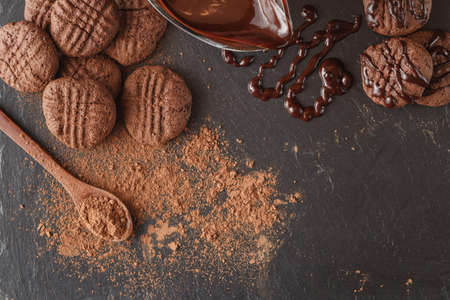 Cocoa beans and cocoa powder on wooden spoon