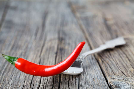 One red chili pepper on fork lay on rustic tableの写真素材