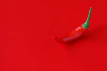 Fresh chili pepper on plain red backgroundの写真素材