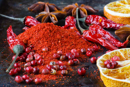 Various kind of spices on dark bacgroundの写真素材