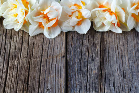 spring flowers on wooden backgroundの写真素材