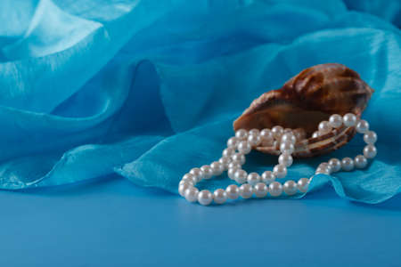 Pearl and Shell, Paua shell and pearl ornaments on blue draperyの写真素材