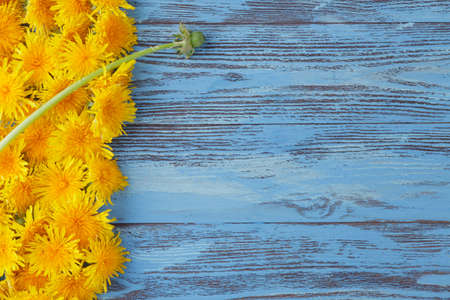 Dandelion background frame on blueの写真素材