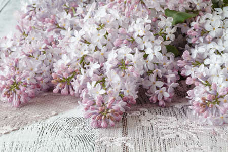 Background with fresh lilac flowers on turquoise painted wooden planks.の写真素材
