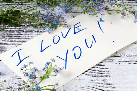 Wedding card. Holiday background with flowers forget me notの写真素材