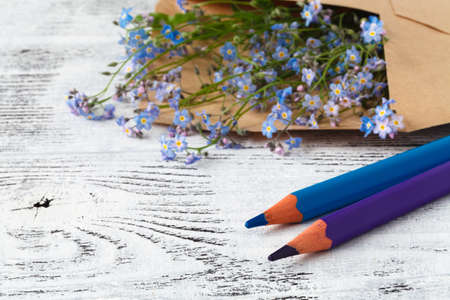 forget-me-nots in the craft envelopeの写真素材