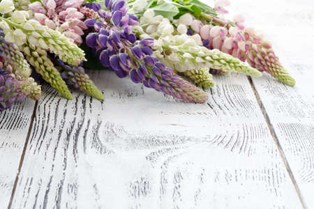 Frame from lupine flowers an old wooden painted backgroundの写真素材