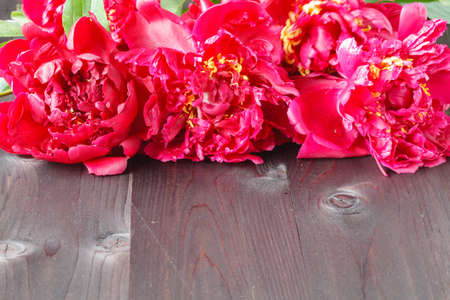 Floral frame with pink peonies on wooden backgroundの写真素材