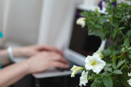 Female florist hand using laptop in flower shopの写真素材