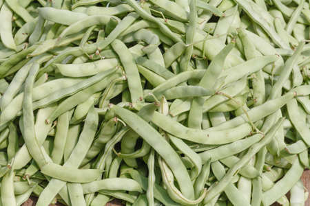 Green beans