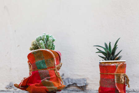 Gardening, decoration concept - flowers and plants in a container at street