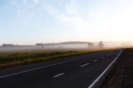 misty road through green fields with road signs and low visibility