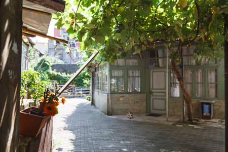 Typical old Georgian yard in Tbilisi city. Georgiaの写真素材