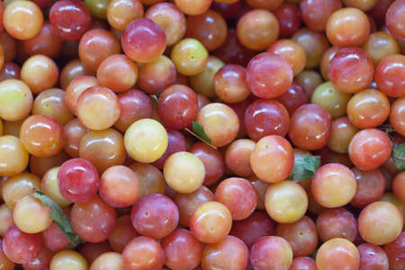 Small plums ( tkemaly) for sale at farmers market. Georgiaの写真素材