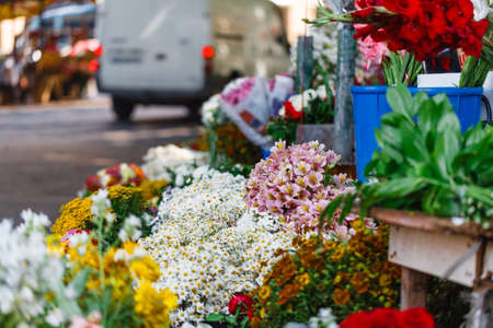 Outdoor flower marketの写真素材