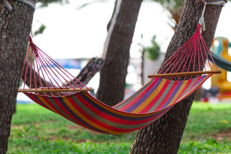Empty Colored hammock on a sunny dayの写真素材