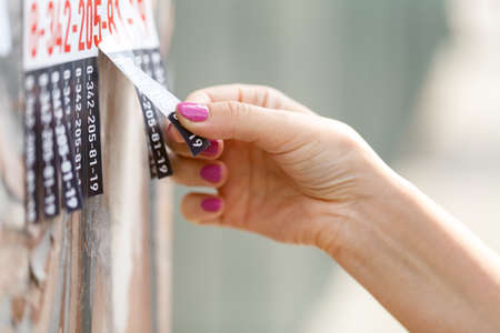 Take cut slips from paper posted on a cement street postの写真素材